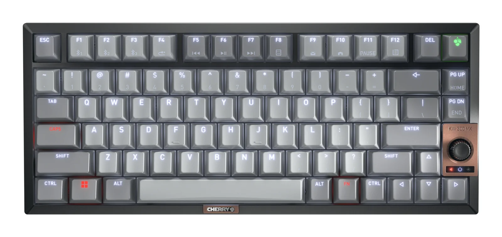 CHERRY KW 300 MX Keyboard Grey, US English