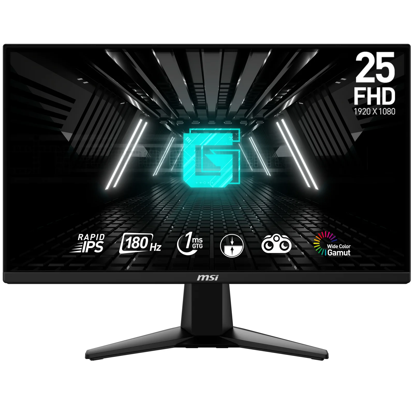 MSI G255FDE 24.5" Full HD IPS 180Hz Monitor