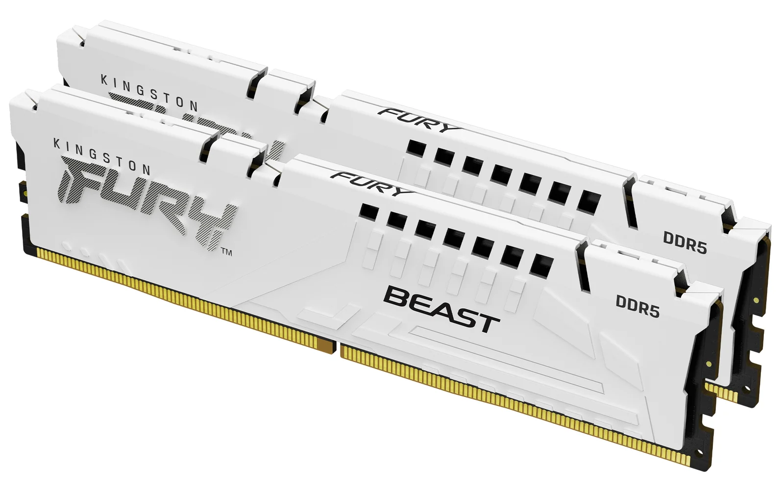 Kingston FURY Beast 32GB (2x16GB) DDR5 KF560C30BWEK2-32