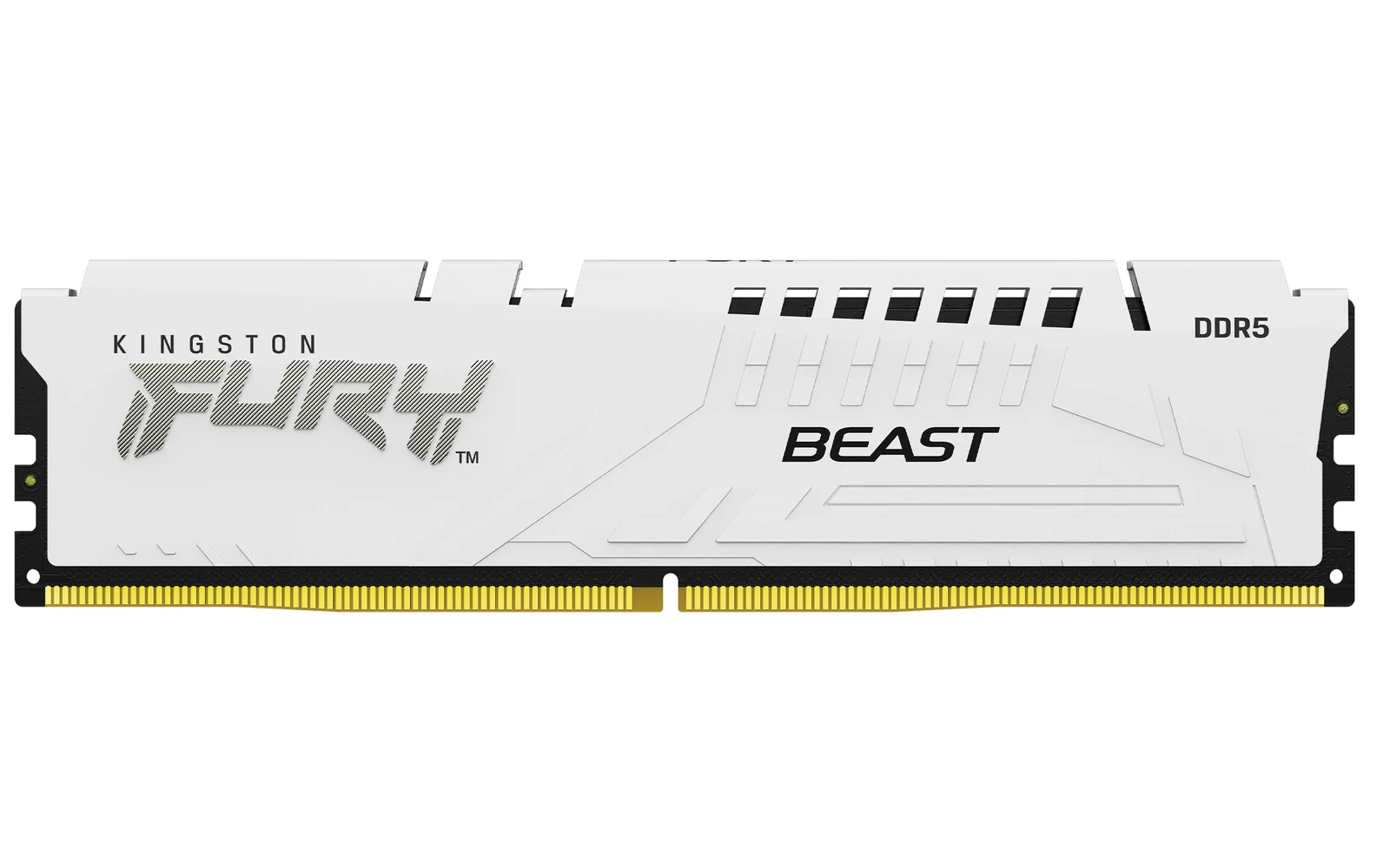 Kingston FURY Beast 32GB DDR5 KF560C30BWE-32