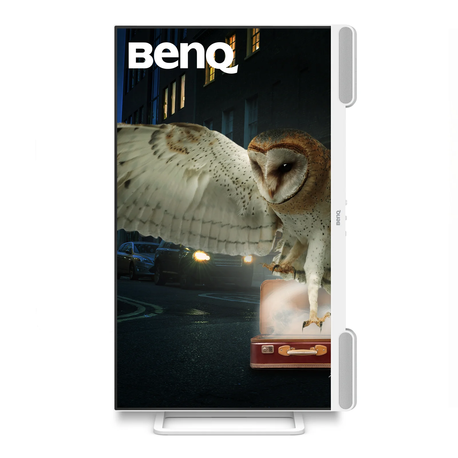 BenQ EW3290U 31.2" 4K UHD IPS Monitor