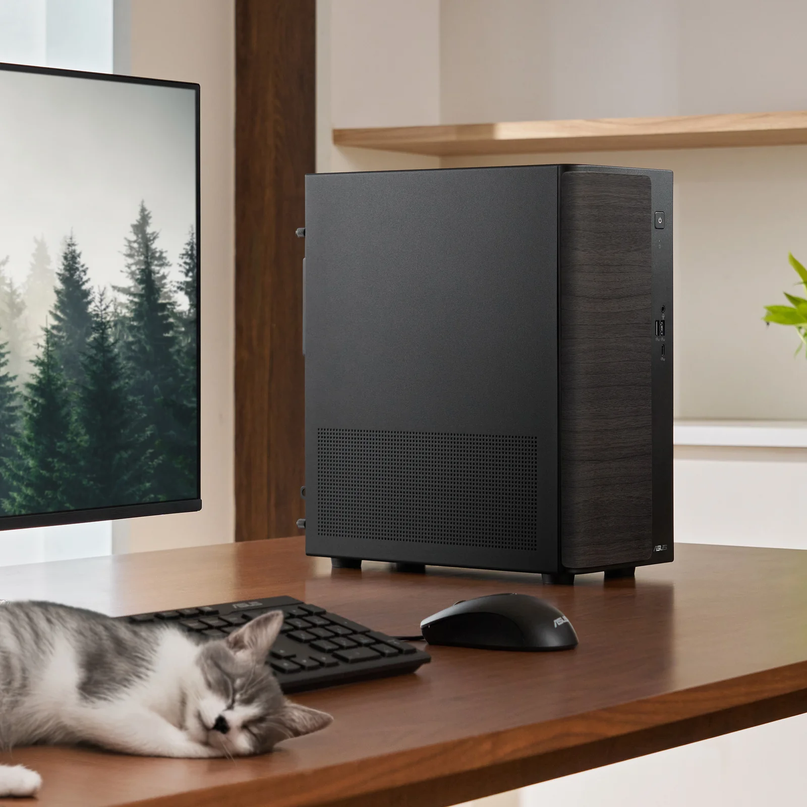 ASUS V500 Mini Tower V501MV-B521H36W