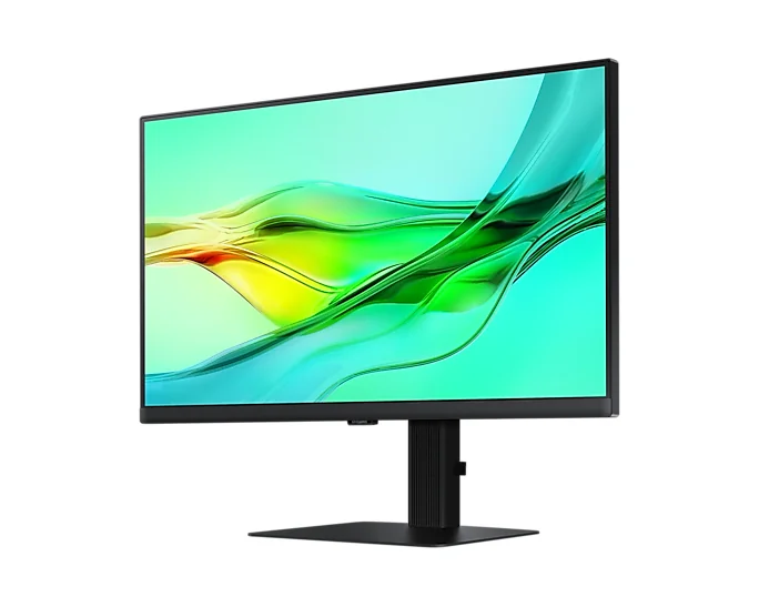 Samsung LS24D600UAU 24" QHD IPS 100Hz Monitor