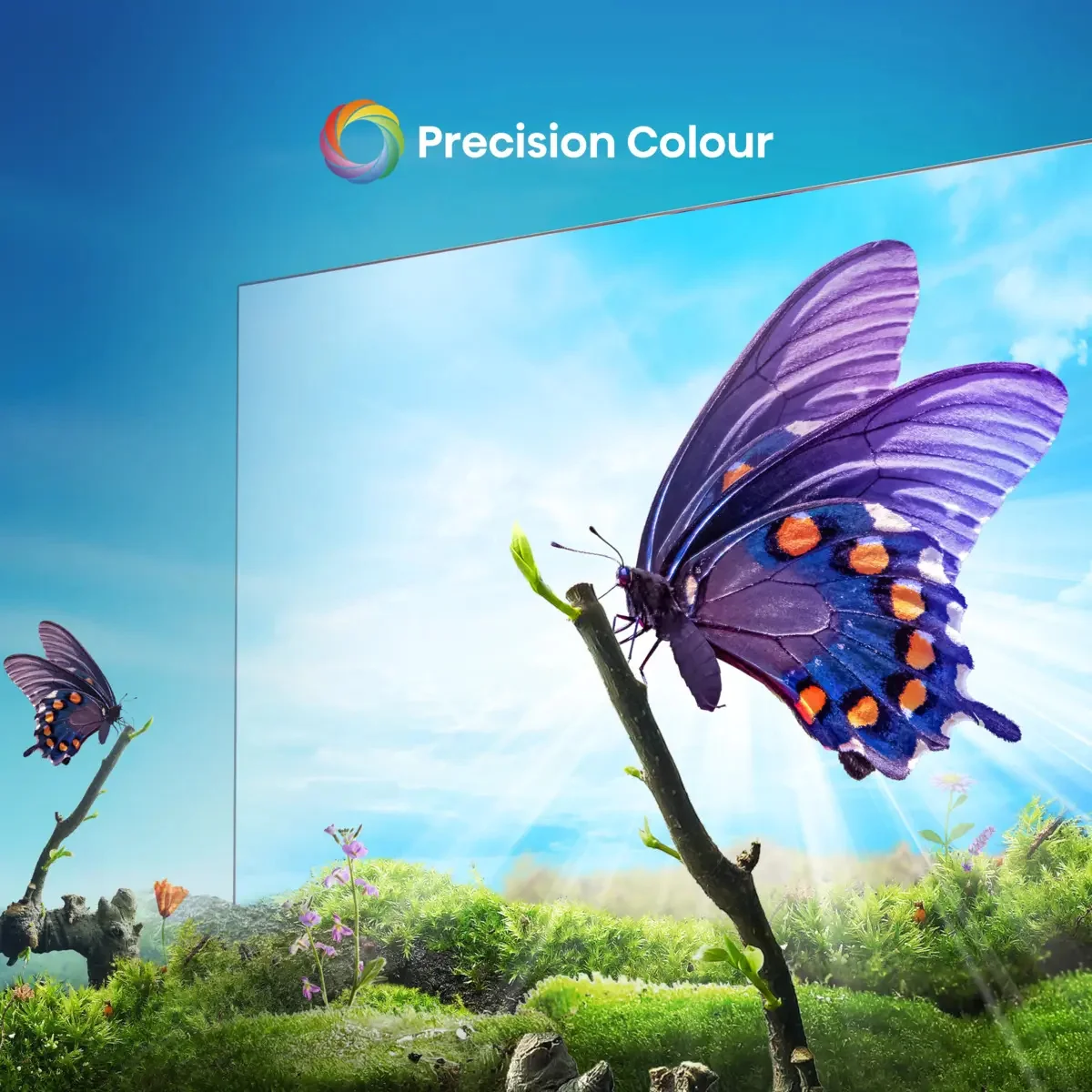 Hisense E6NT 65" 4K Smart TV