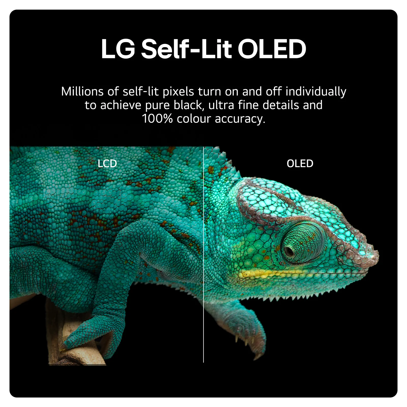 LG OLED65B42LA.AEK 65" 4K Smart TV