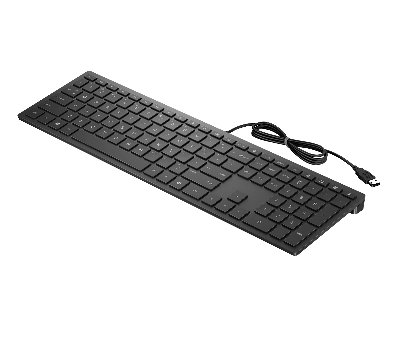 HP PAV WIRED 300 Keyboard Black