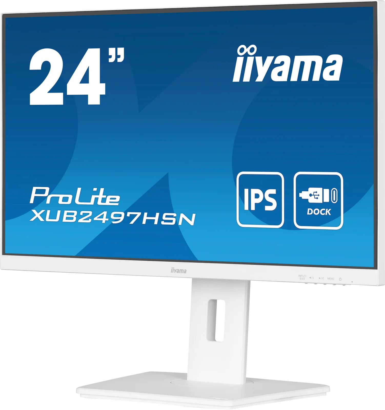iiyama XUB2497HSN-W1 23.8" Full HD IPS 100Hz Monitor