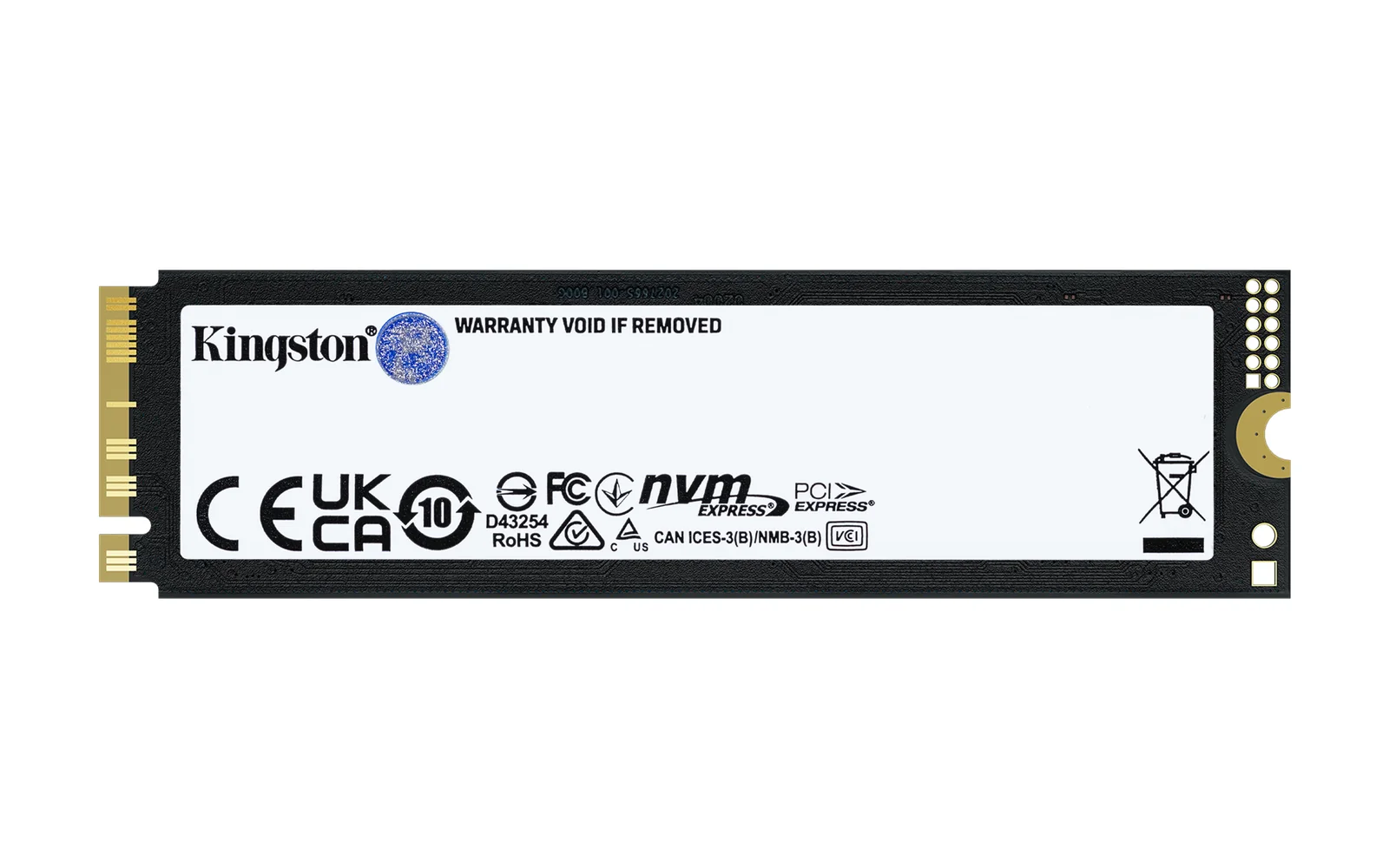 Kingston Technology FURY Renegade G5 1TB SSD