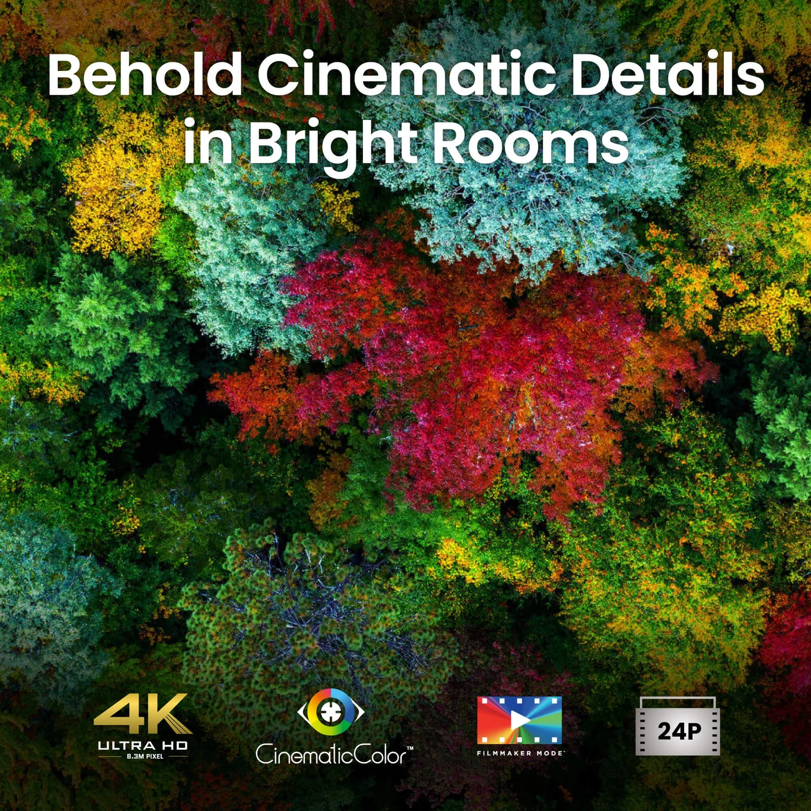 BenQ V5010i 4K Projector