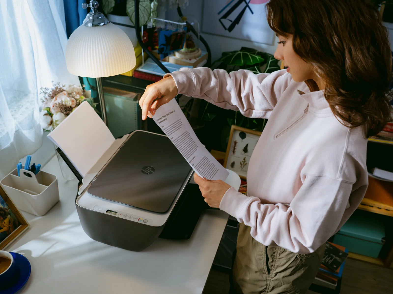 HP DeskJet 2910 All-in-One Colour Printer