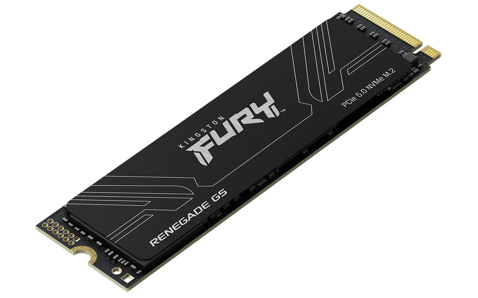 Kingston Technology FURY Renegade G5 1TB SSD