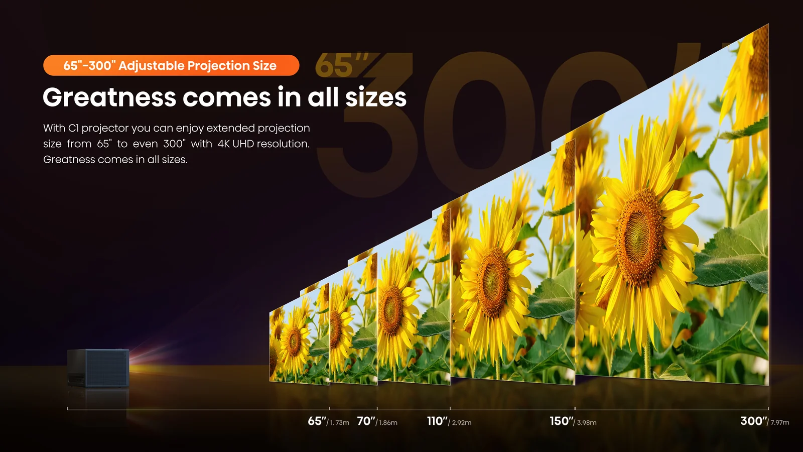 Hisense C1TUK 4K Projector