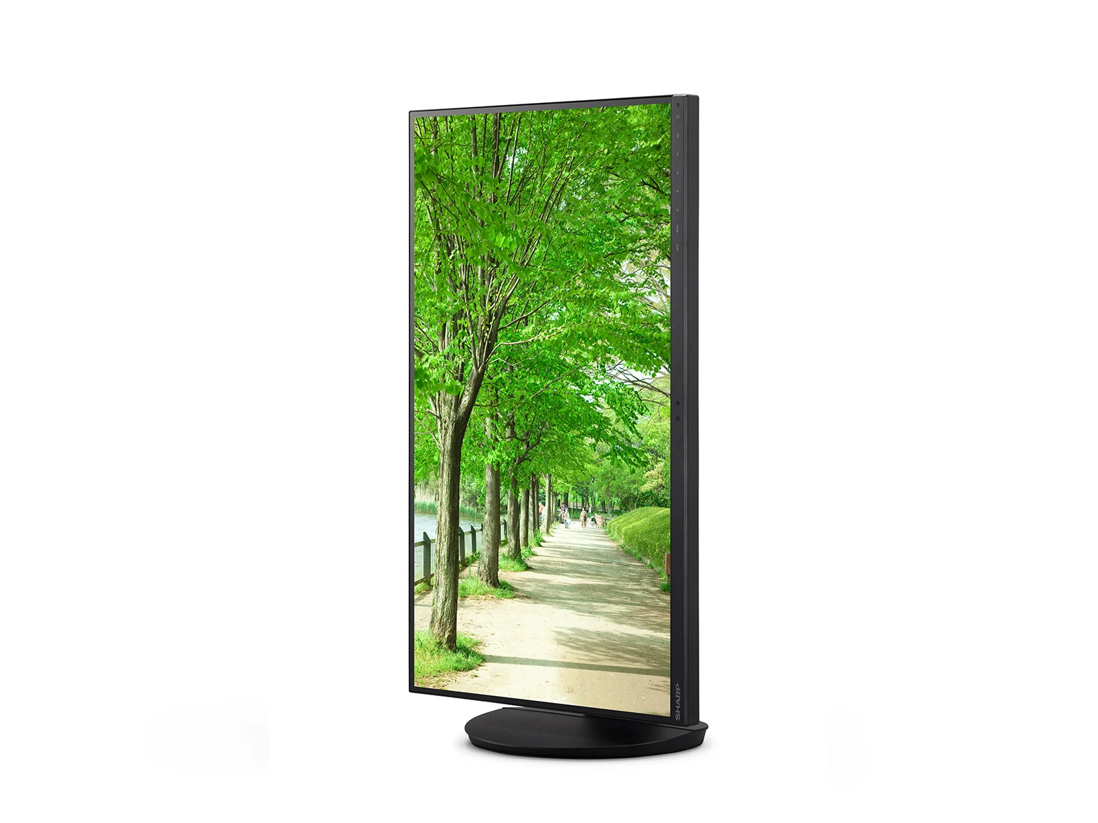 Sharp 60006064 27" 4K UHD IPS Monitor