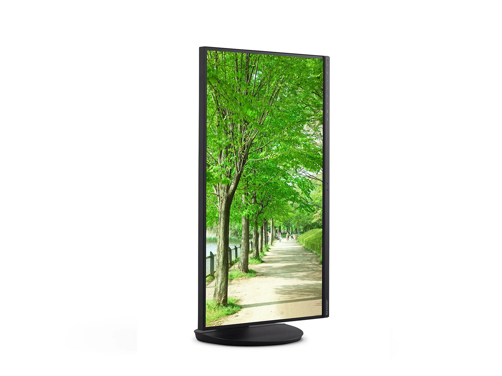 Sharp EA272Q 27" QHD IPS Monitor