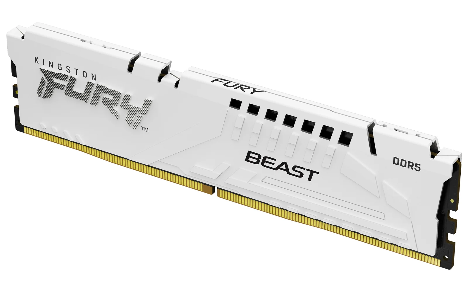Kingston FURY Beast 32GB DDR5 KF560C30BWE-32