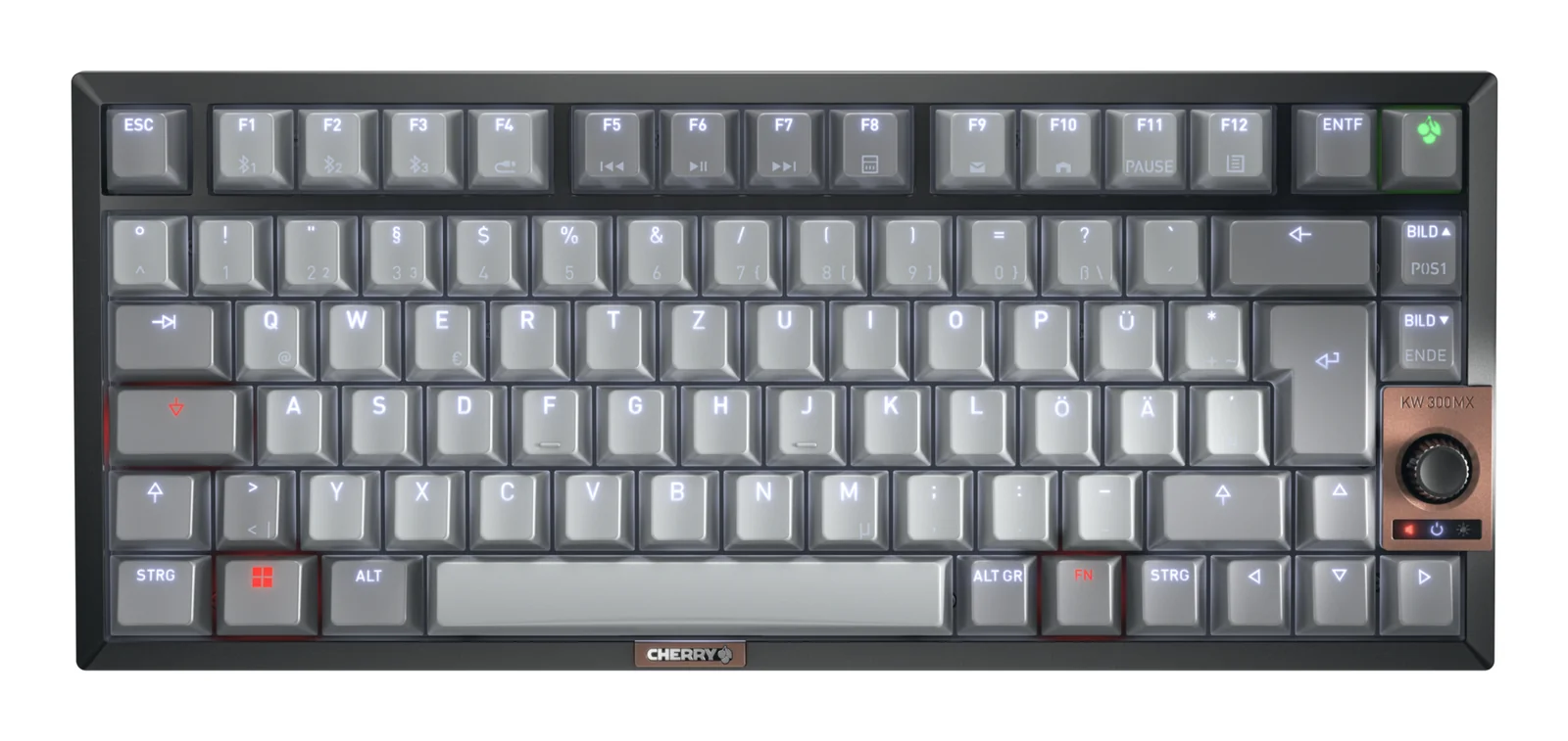 CHERRY KW 300 MX Keyboard Grey, German