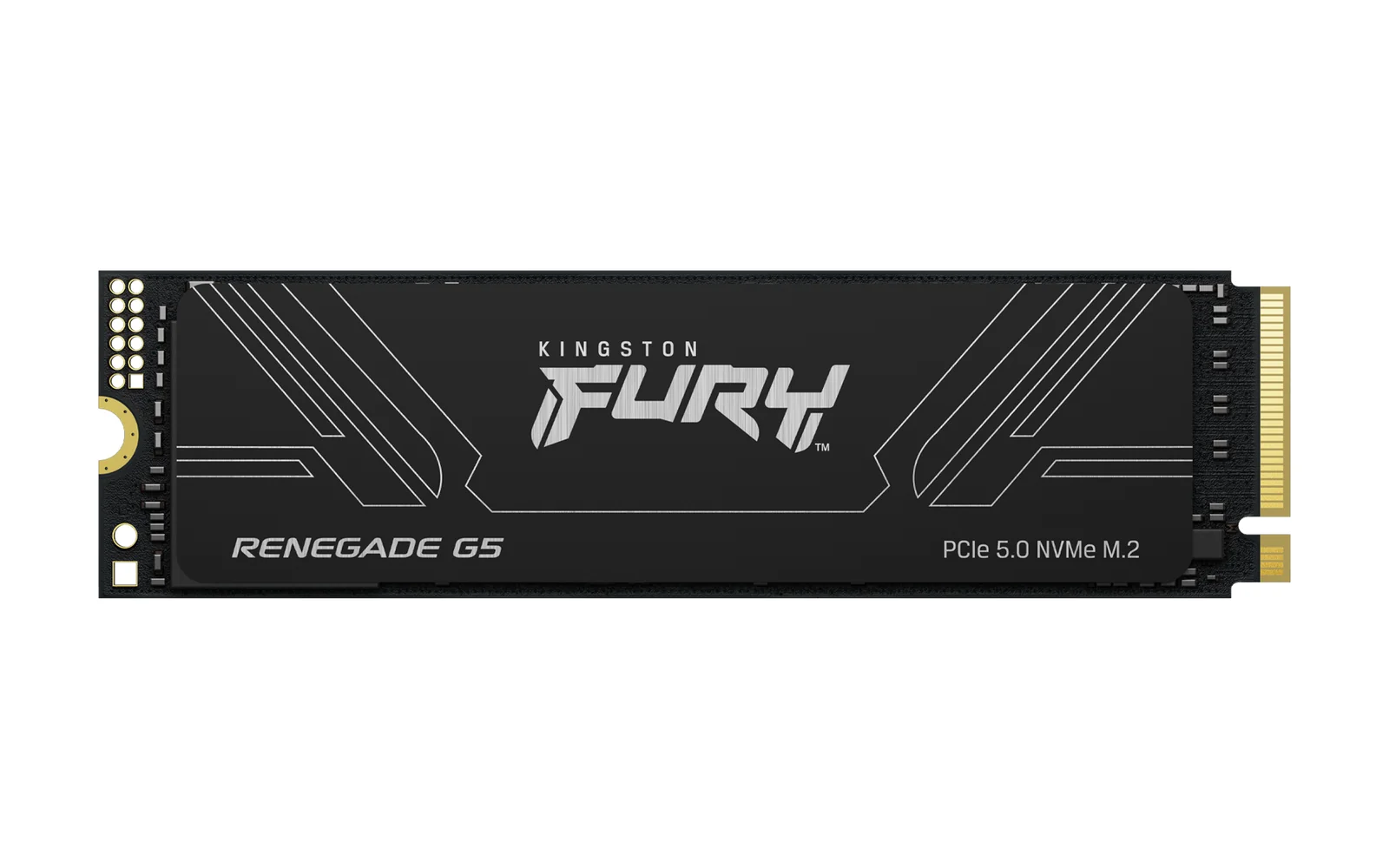 Kingston Technology FURY Renegade G5 1TB SSD
