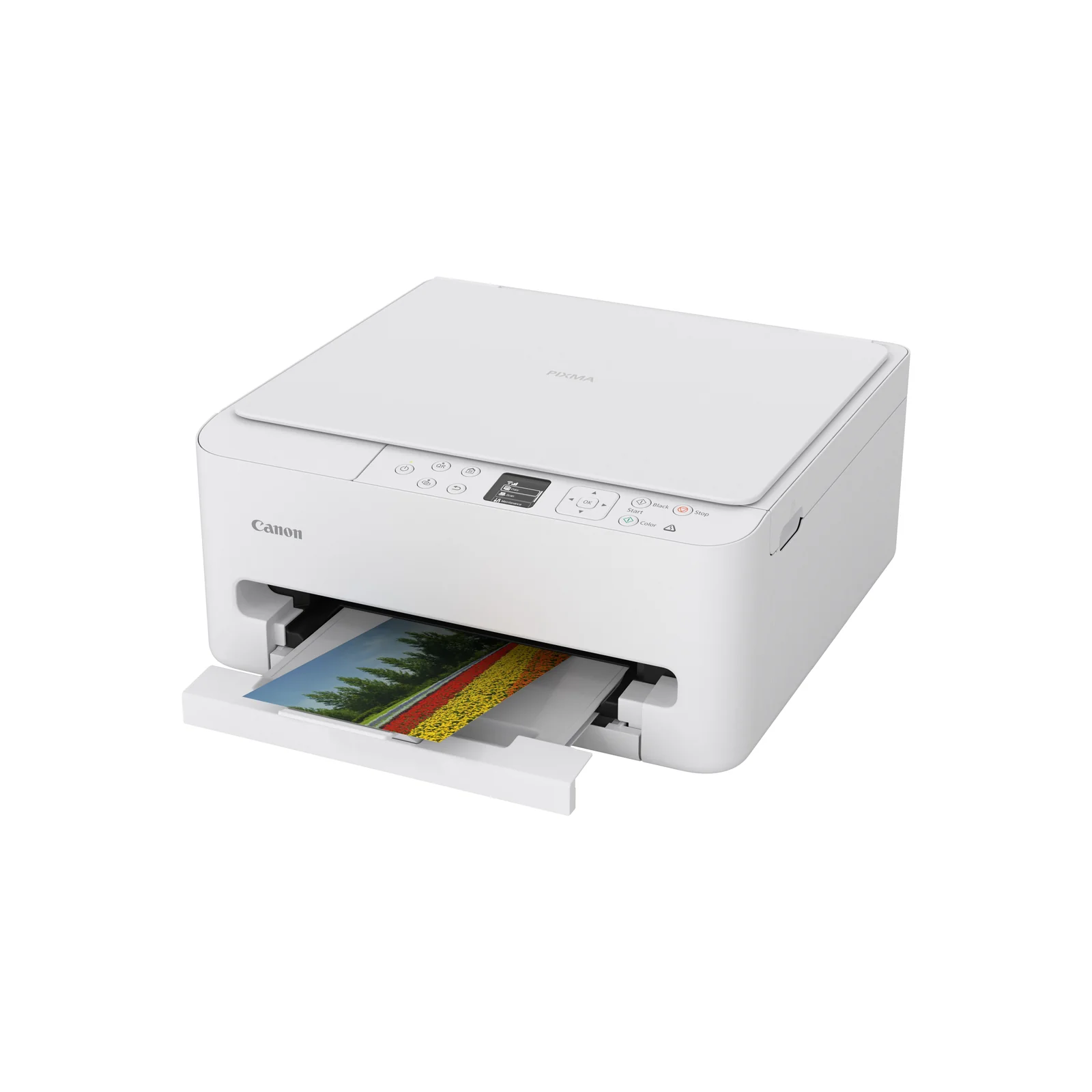 Canon PIXMA TS6550i Inkjet Printer